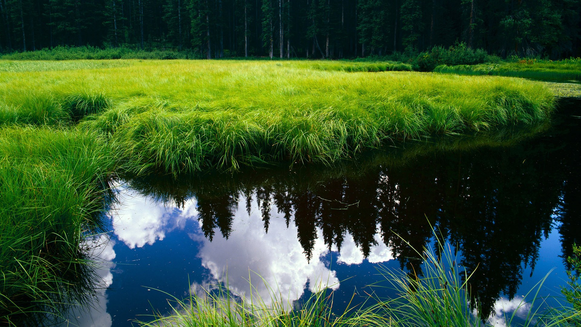 爱游戏娱乐-_国家队精英训练营：名将提前备战年度赛事_，进国家队训练有工资吗