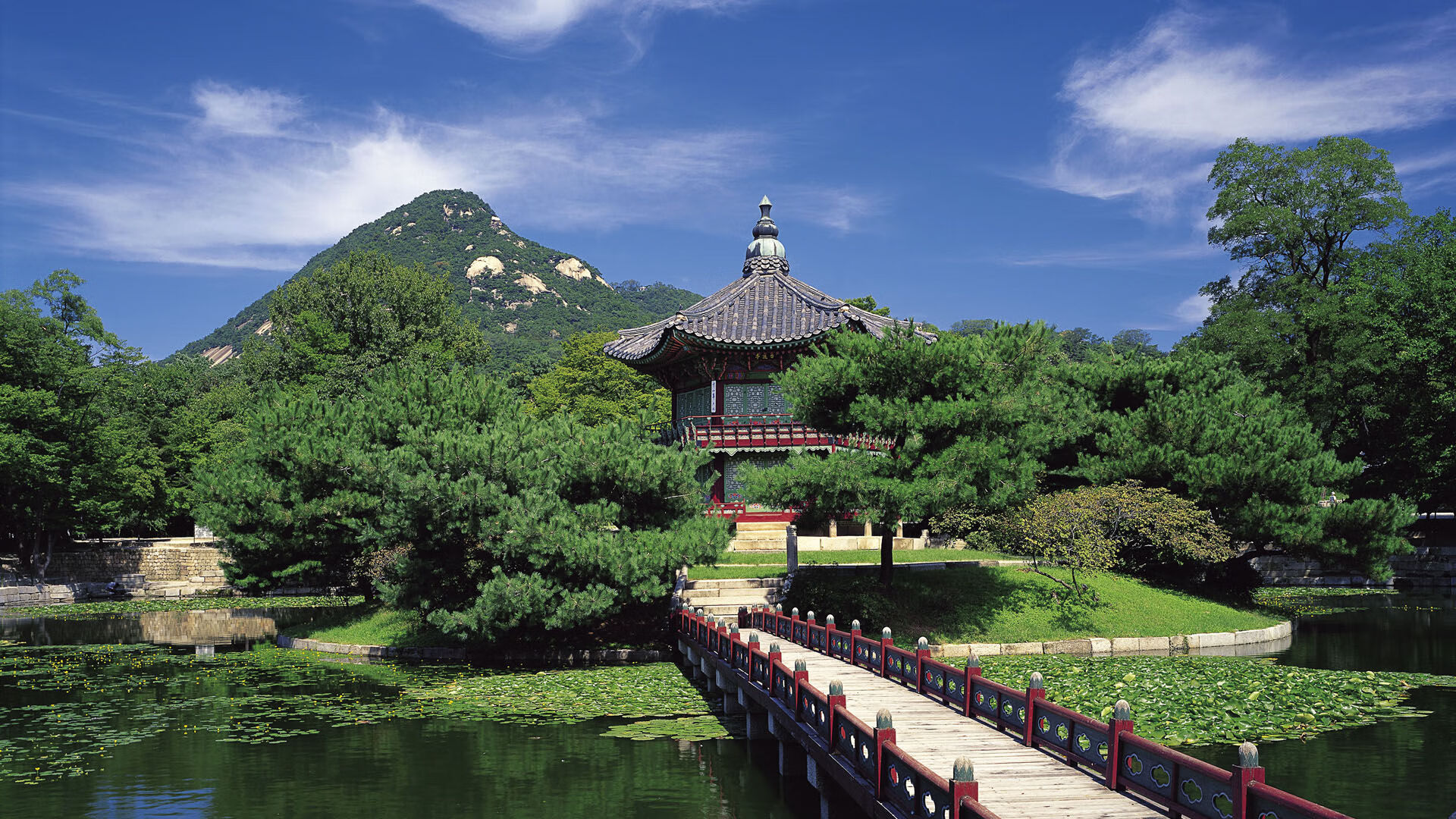 爱游戏中国官方登录入口网站-女子篮球国际邀请赛中国队荣获冠军，国家女子篮球比赛