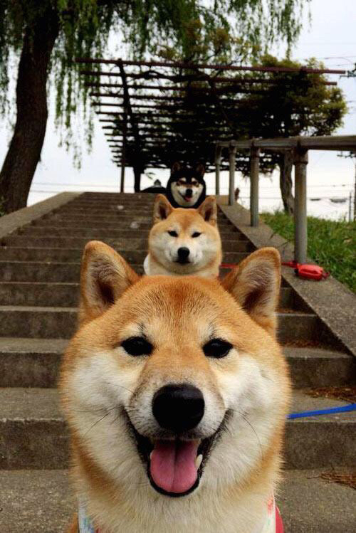 获胜的秘密：WRC冠军车手的训练秘籍，wrc获得冠军最多的