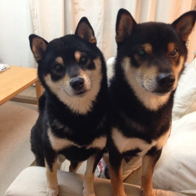 爱游戏体育-足球场地用地审批流程进一步简化，足球场地申请