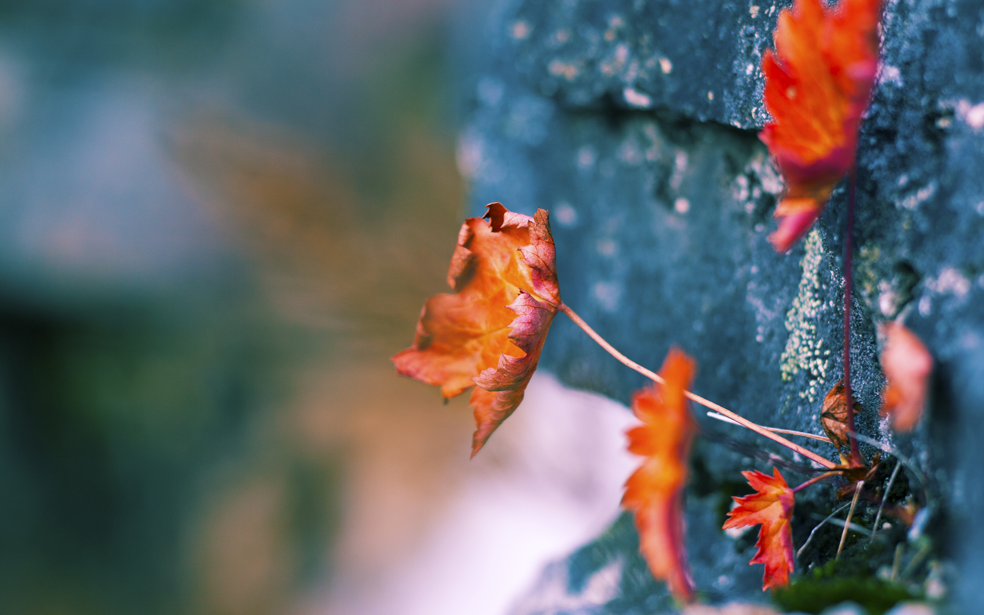 爱游戏体育平台-足球场新建设计亮点，提升比赛体验，足球场建设方案