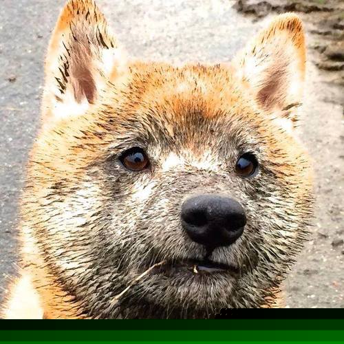 足球场新建项目逐步推进,硬件设施提升,足球场建设方案