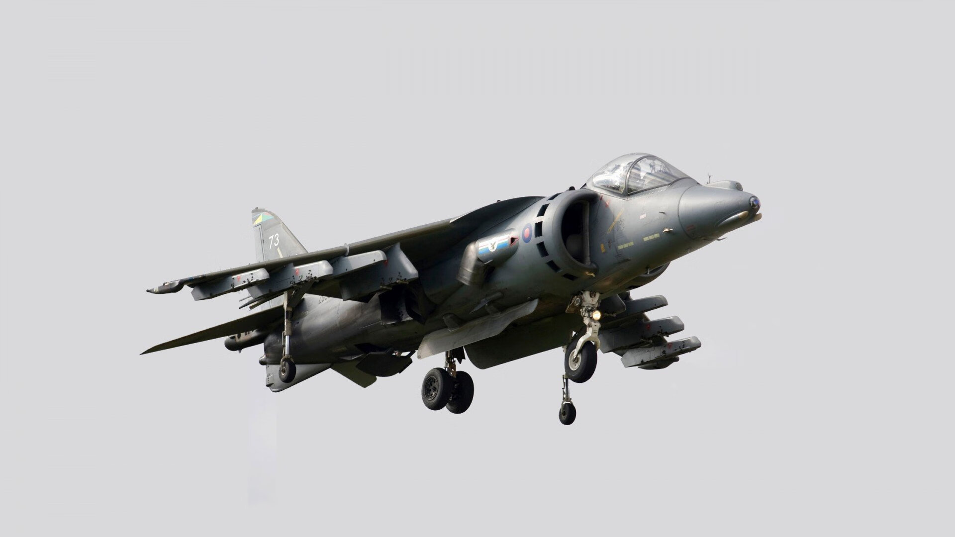 爱游戏娱乐平台-Gen.G粉丝活动热烈进行中，粉丝的活动