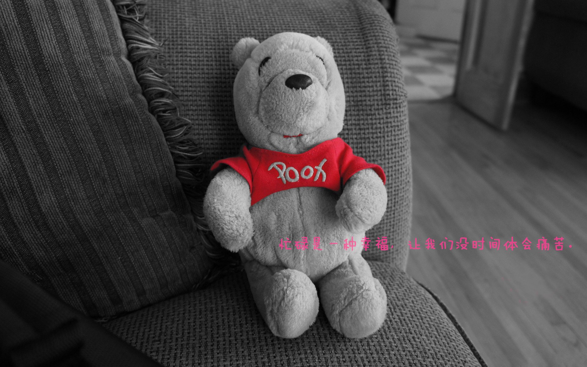 Gen.G粉丝活动热烈进行中,粉丝的活动