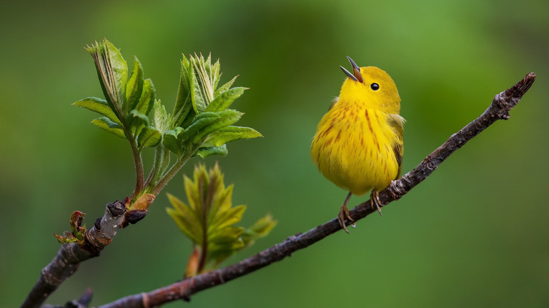 一场比赛中出现了惊艳的进球瞬间,足球比赛进球的一瞬间