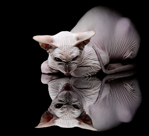 巴塞罗那主场越战越勇登顶西甲积分榜,巴塞罗那西甲战绩