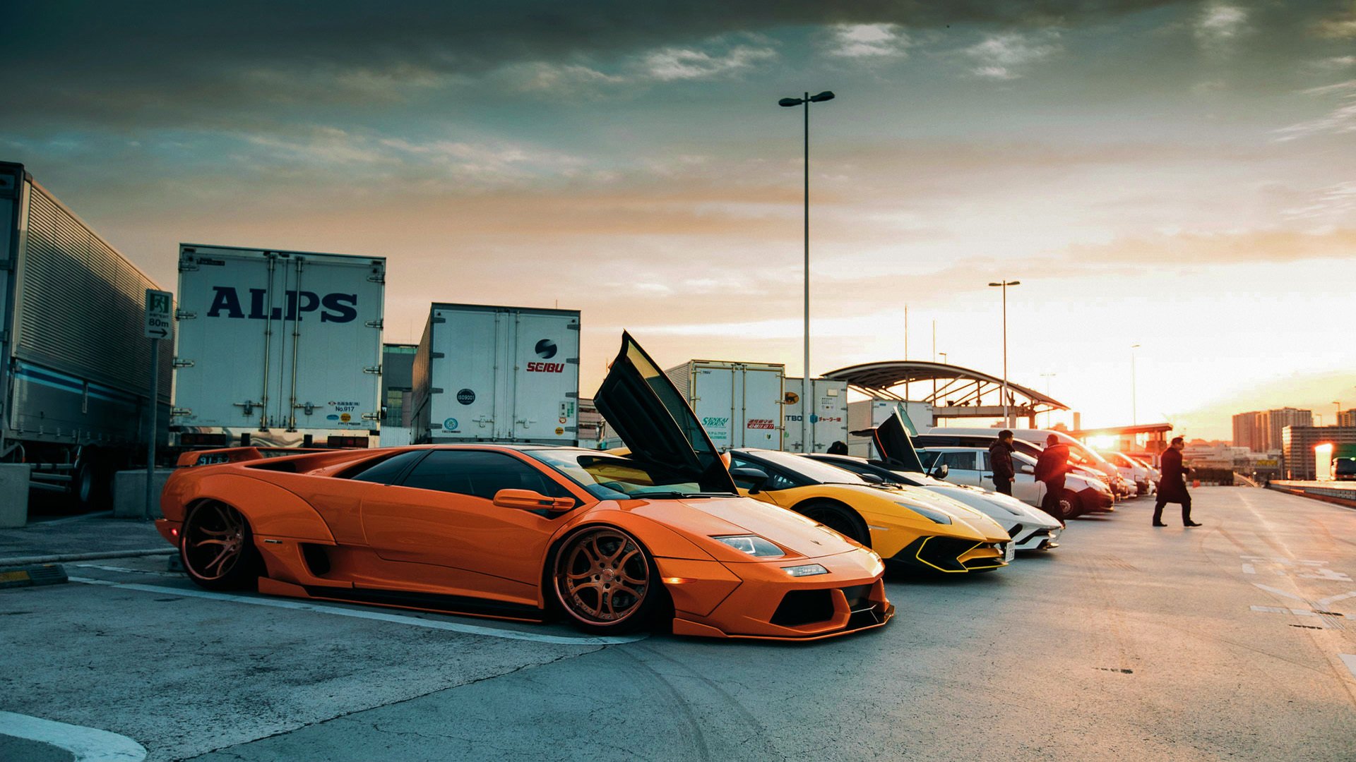 爱游戏 电竞-比利时马术协会与亚洲马术协会建立合作关系，推动区域发展。，比利时战马