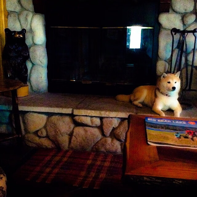 毕尔巴鄂竞技客场1-1战平格拉纳达,双方互有攻守,毕尔巴鄂竞技足球