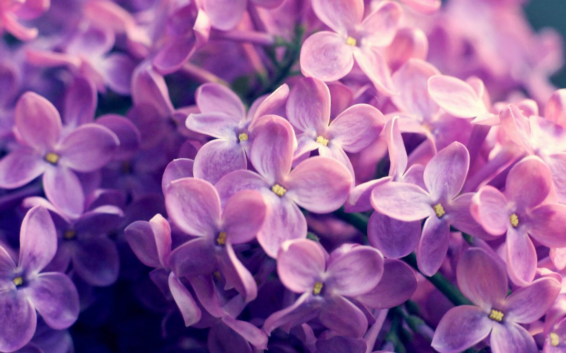 江苏龙球员专注度明显提升，江苏龙cba