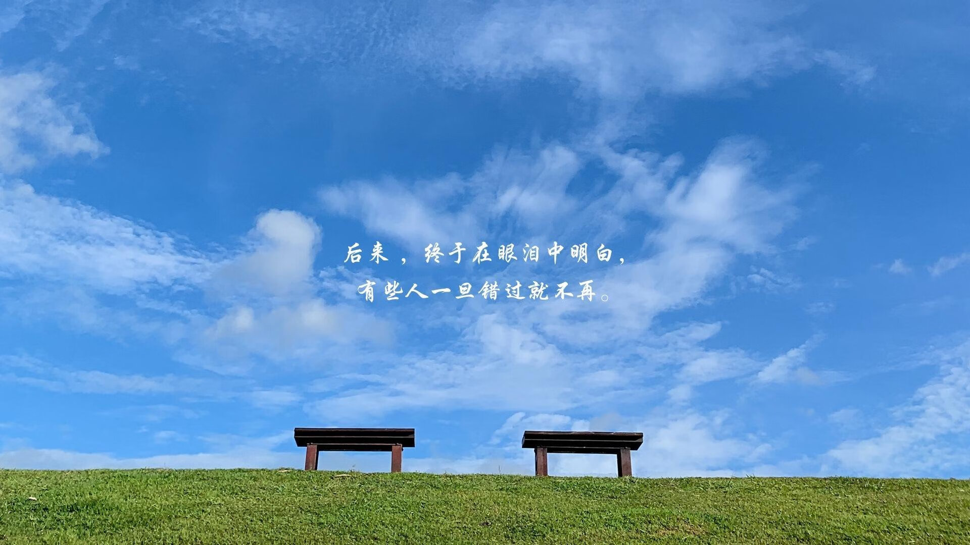 “挑战自我,SHO-CHAN Run 2025赛道见证香港跑步新高峰”