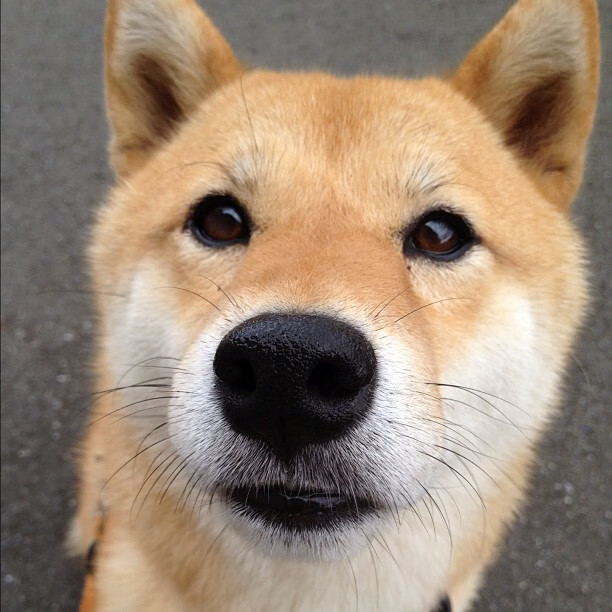 世界围棋赛策略与耐力的巅峰较量,世界比赛围棋