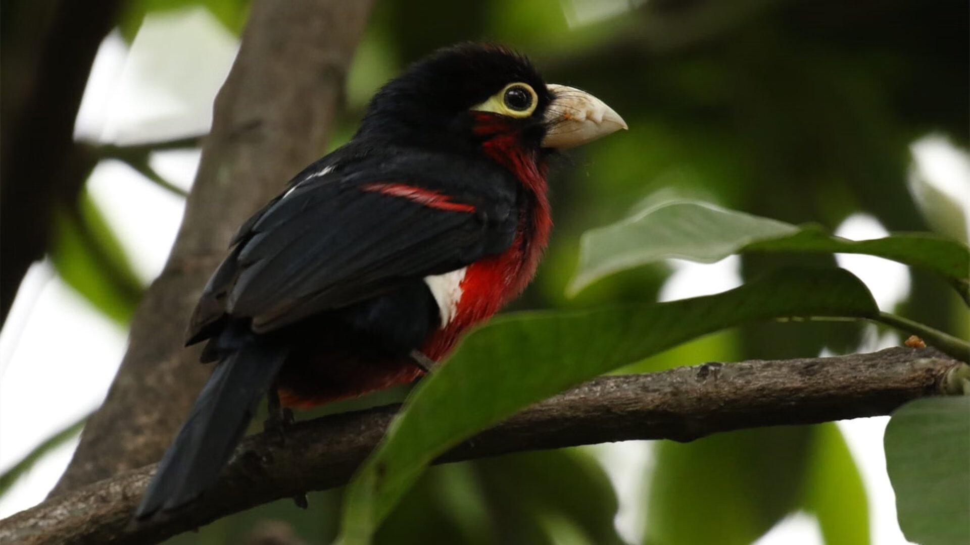 爱游戏娱乐网址-亚冠联赛中国足球逆袭 球员表现亮眼，中国足球亚冠名额