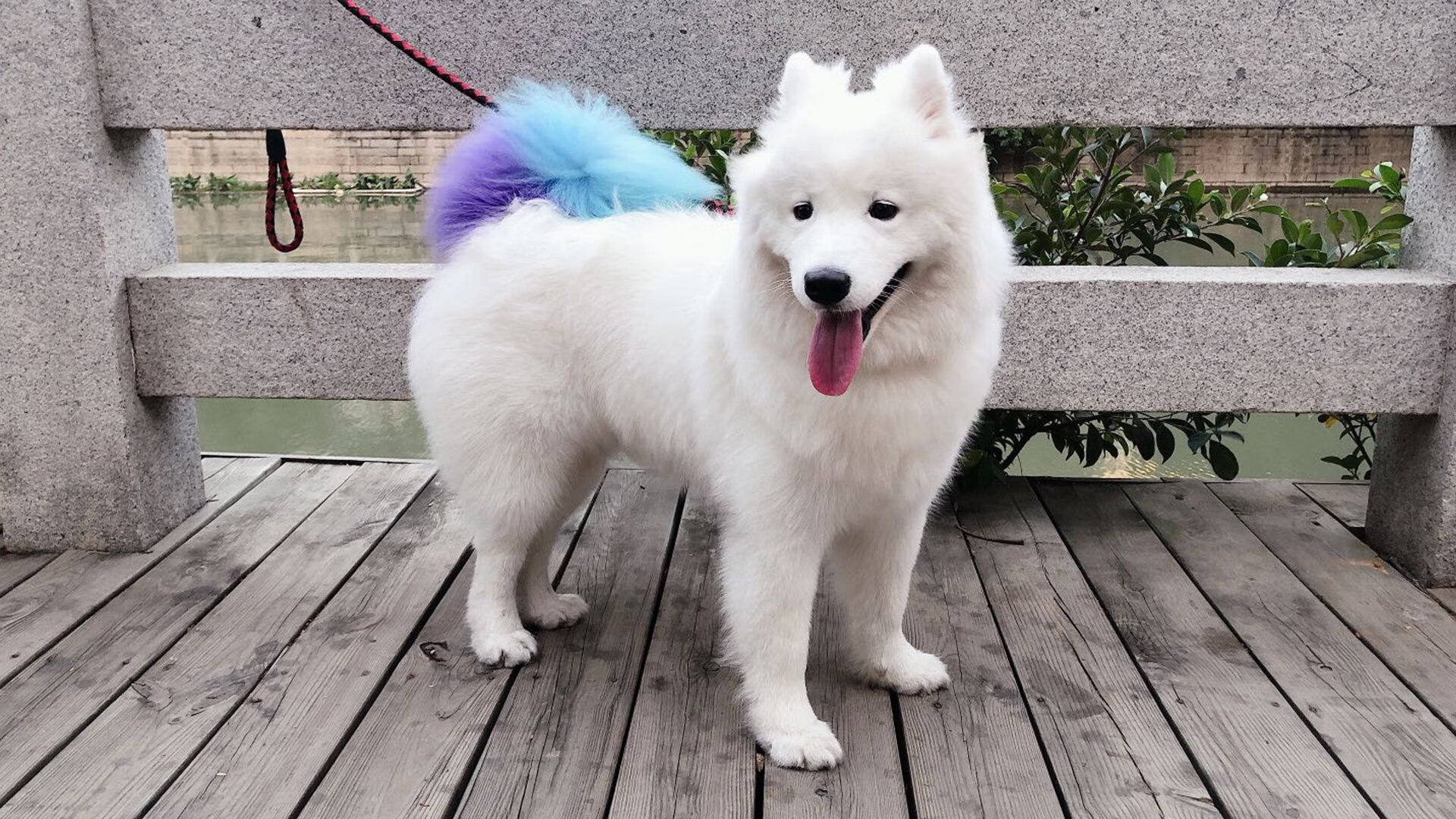 新闻中心发布国家体育信息安全防护项目采购清单,国家体育信息中心主任