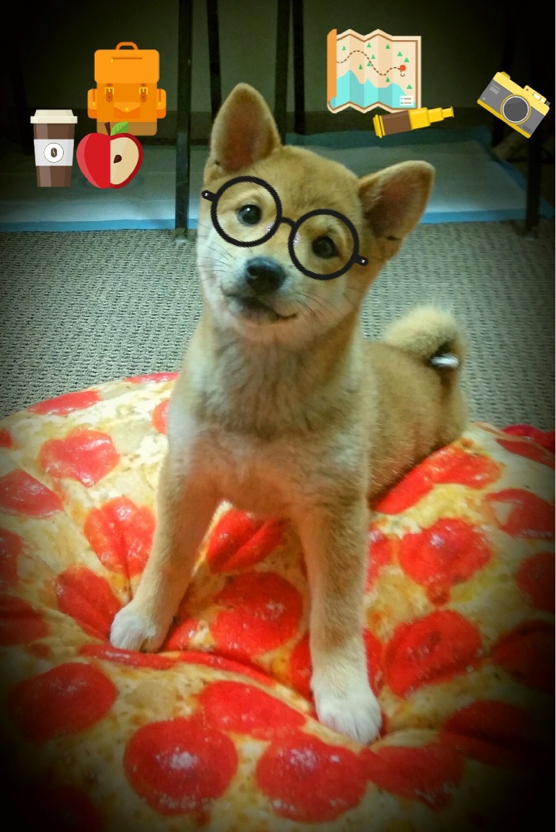 爱游戏中国官方登录入口网站-法甲历史瞬间：那些永远难忘的精彩战役，法甲历届冠军一览图