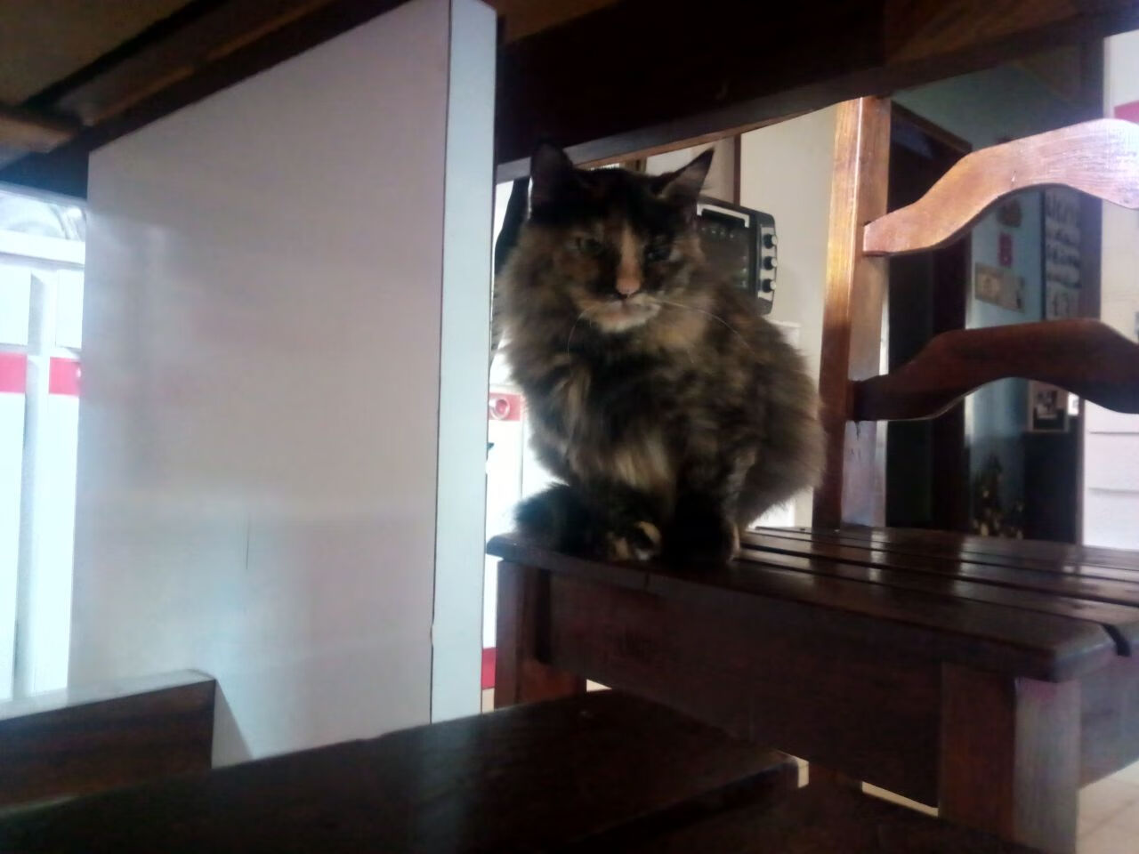 爱游戏在线登录入口-滑雪运动员训练重心转向综合协调能力，滑雪转弯重心