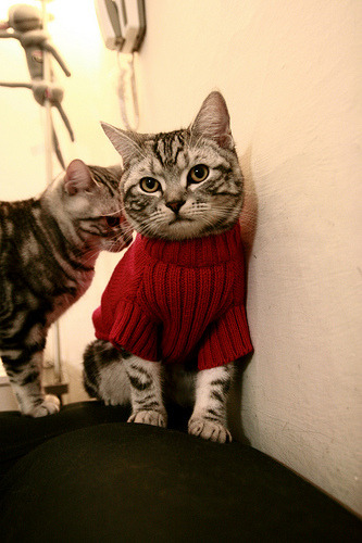 爱游戏娱乐-训练计划加入耐力跑与力量训练平衡体能与比赛节奏要求，耐力跑动作